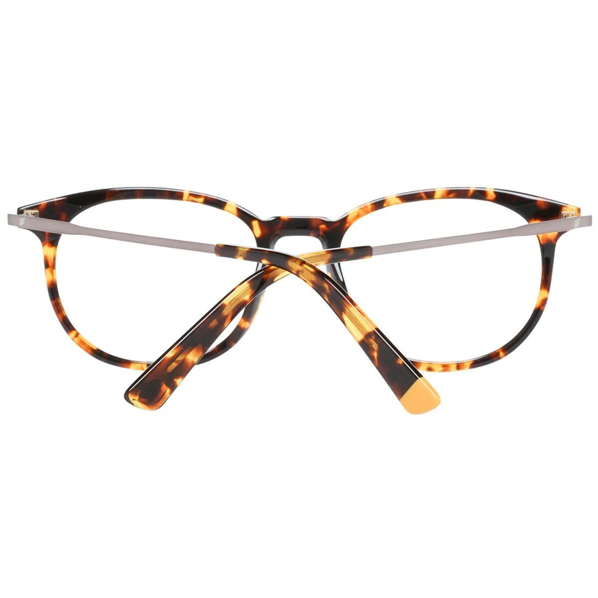 Akinių rėmeliai WEB EYEWEAR WE5246 52053 (vyrams)
