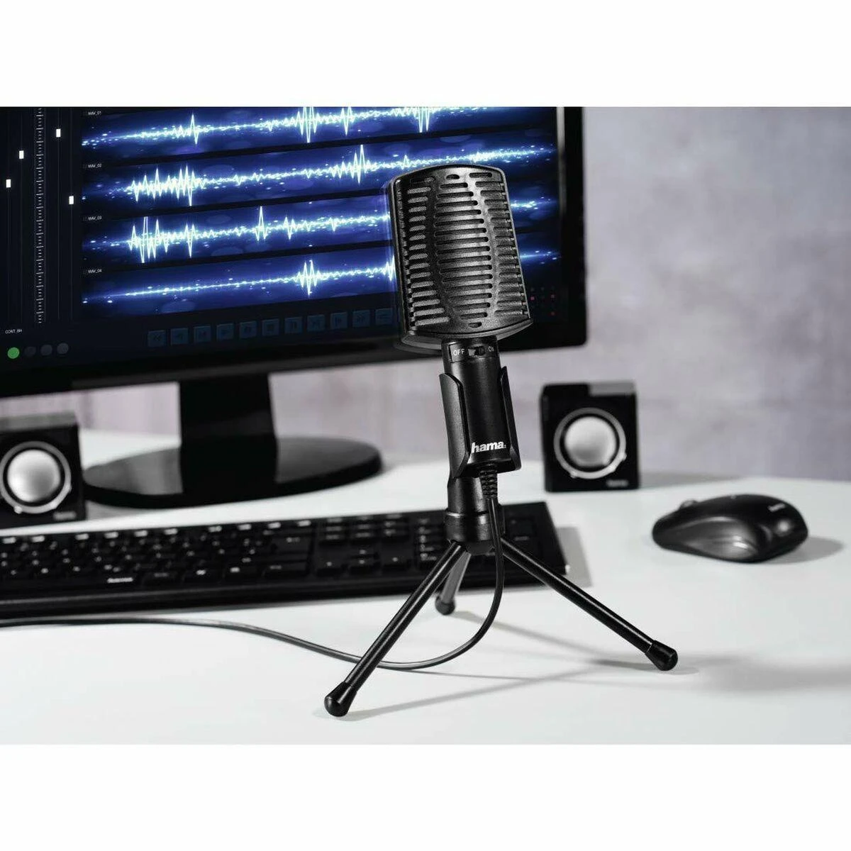 Mikrofonas Hama MIC-USB Allround (139906)
