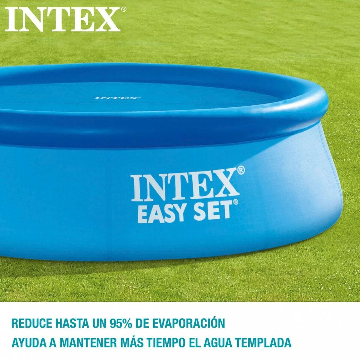 Telone Intex Baseino uždangalas, mėlynas, 206cm, polietilenas