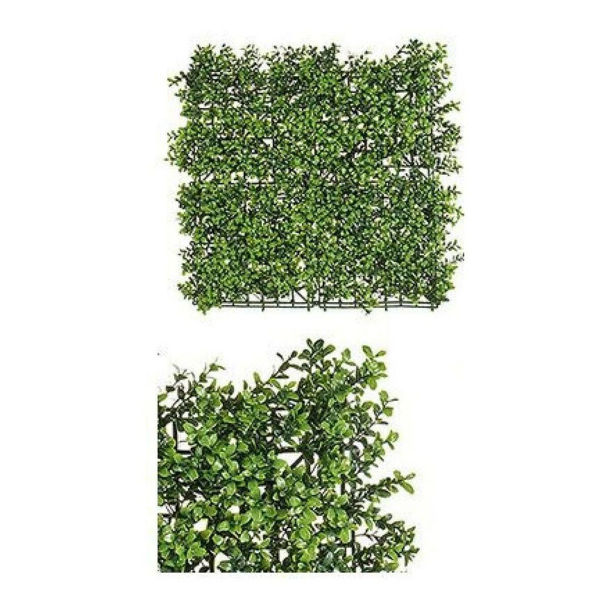 Dirbtinė gyvatvorė Ibergarden, kvadratinis segmentas