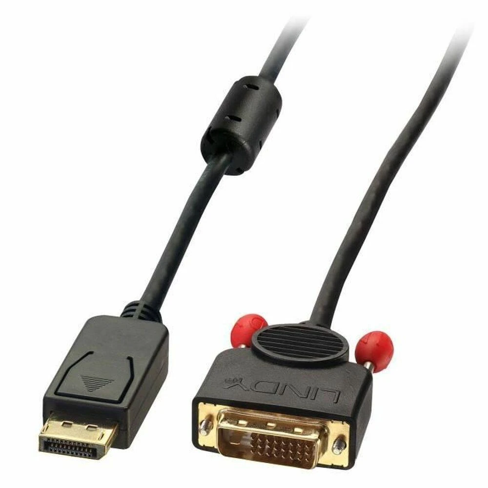 Lindy DisplayPort - DVI M/M 2m juodas