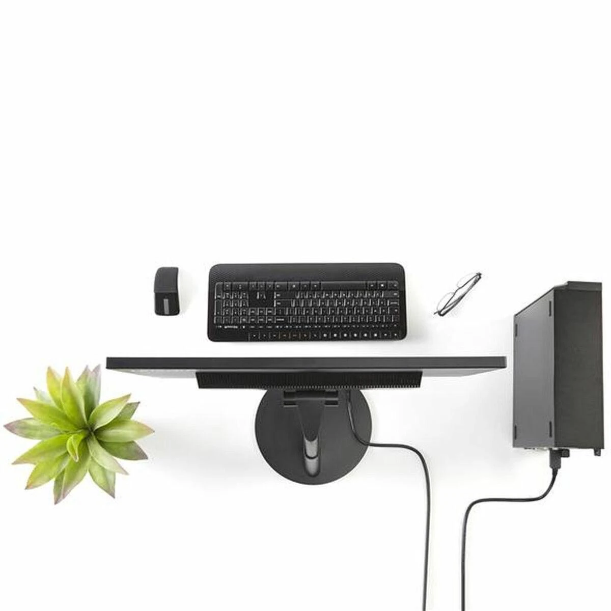 StarTech.com DP2DVI2MM6 vaizdo kabelio adapteris 1,8 m DisplayPort DVI-D Juoda