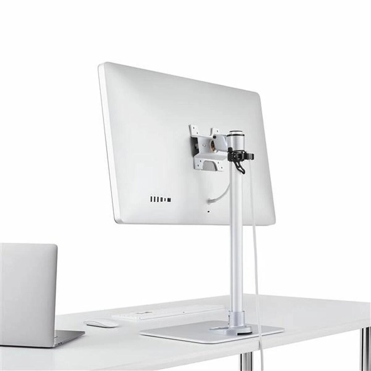 Laikiklis „StarTech“ stalinis stovas 12–34 colių monitoriams (ARMPIVSTND)