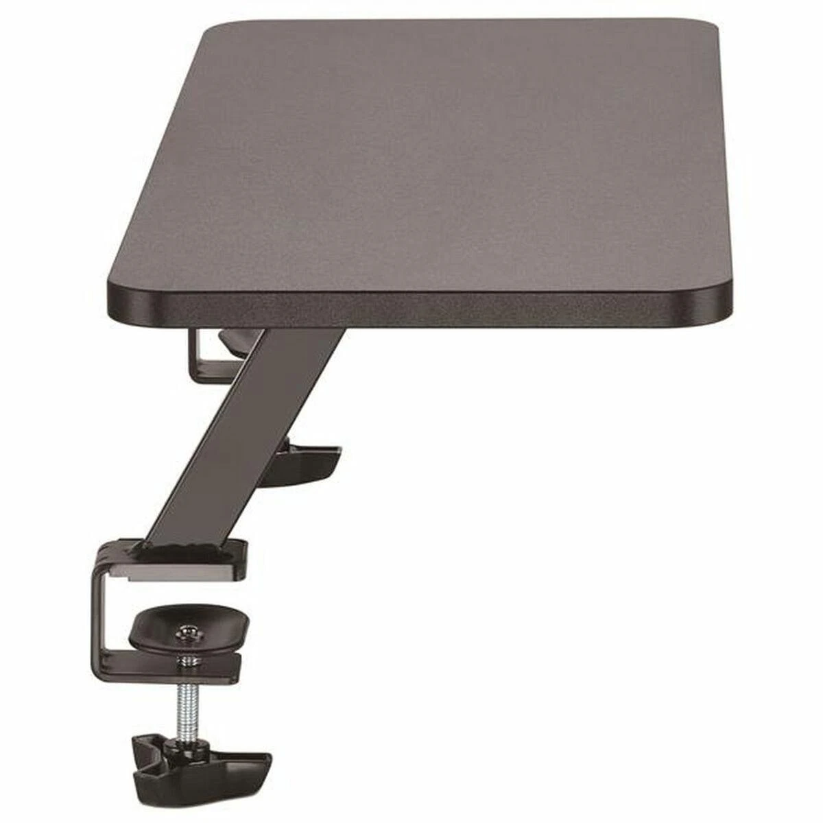 StarTech Laikiklis stalo monitorius Startech MNRISERCLMP