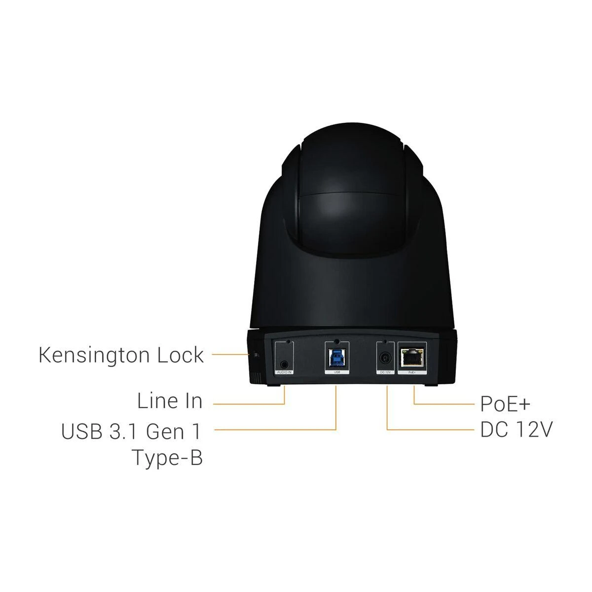 AverMedia DL30 vaizdo kamera su sekimu