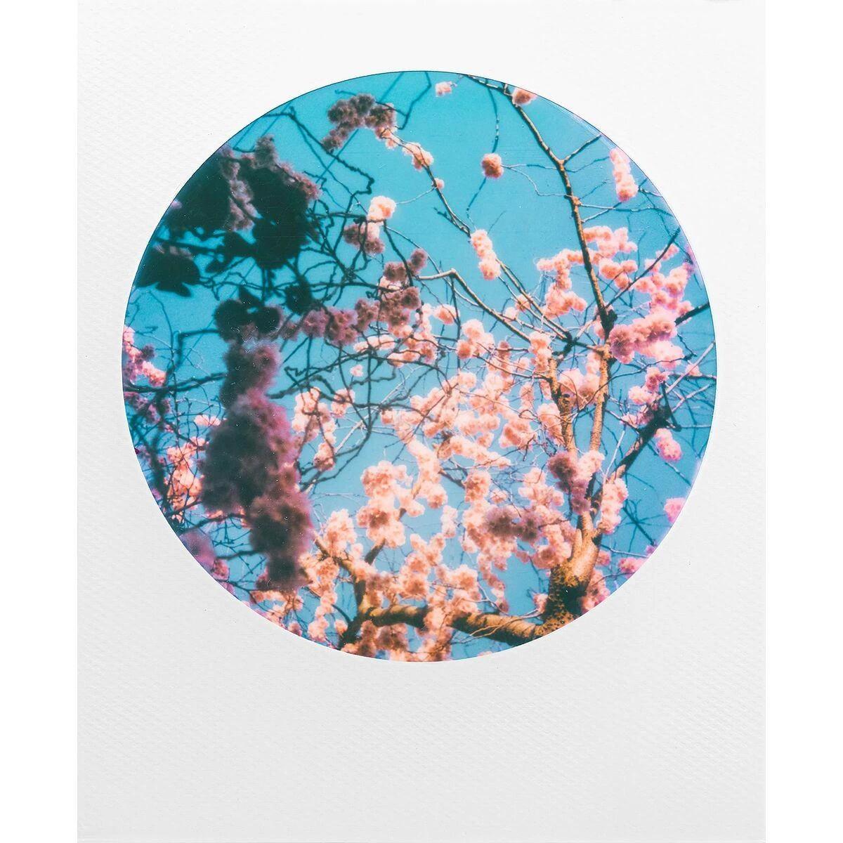 POLAROID SPALVOTA PLĖVELĖ 600 RĖMŲ