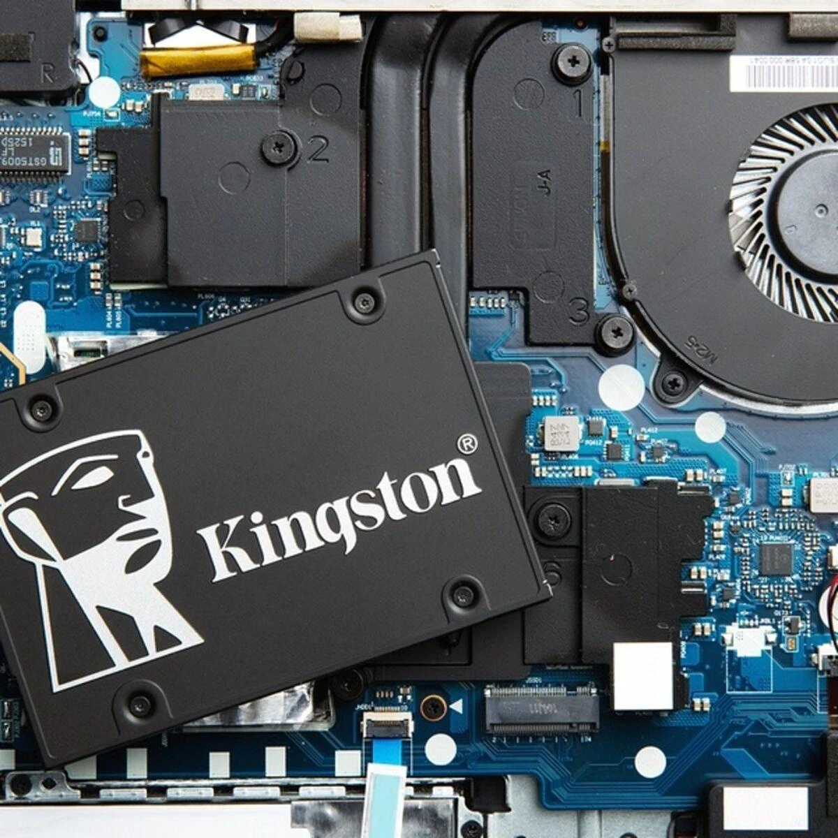 KINGSTON SKC600/1024G 2.5? SSD