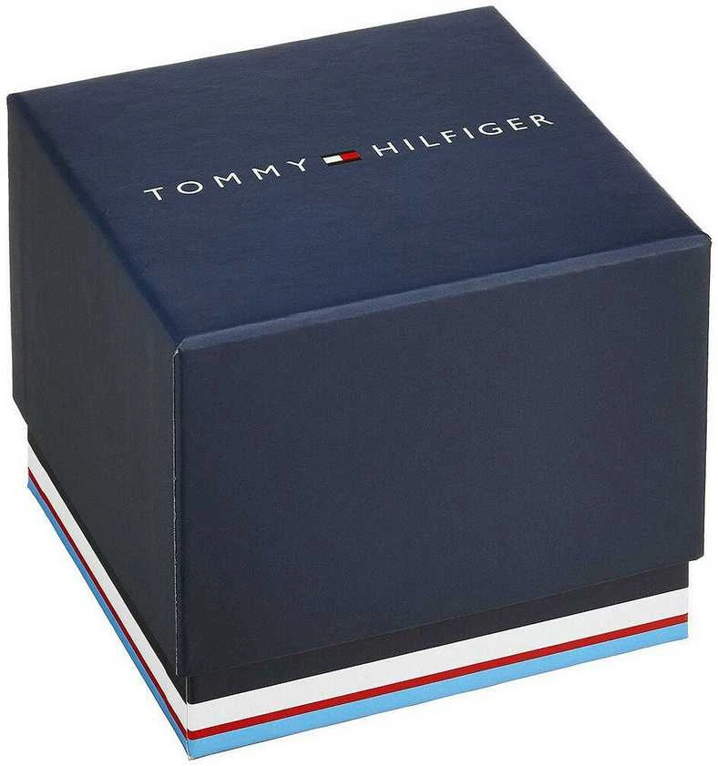 VYRIŠKAS LAIKRODIS TOMMY HILFIGER GAVIN (zf003a)