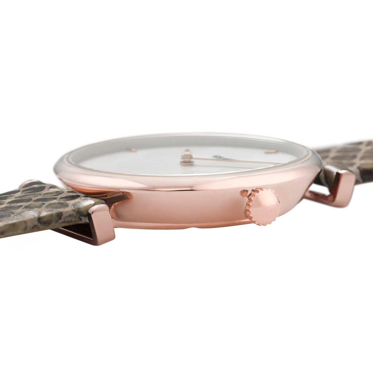 Laikrodis Watches CLUSE Watches CL61007