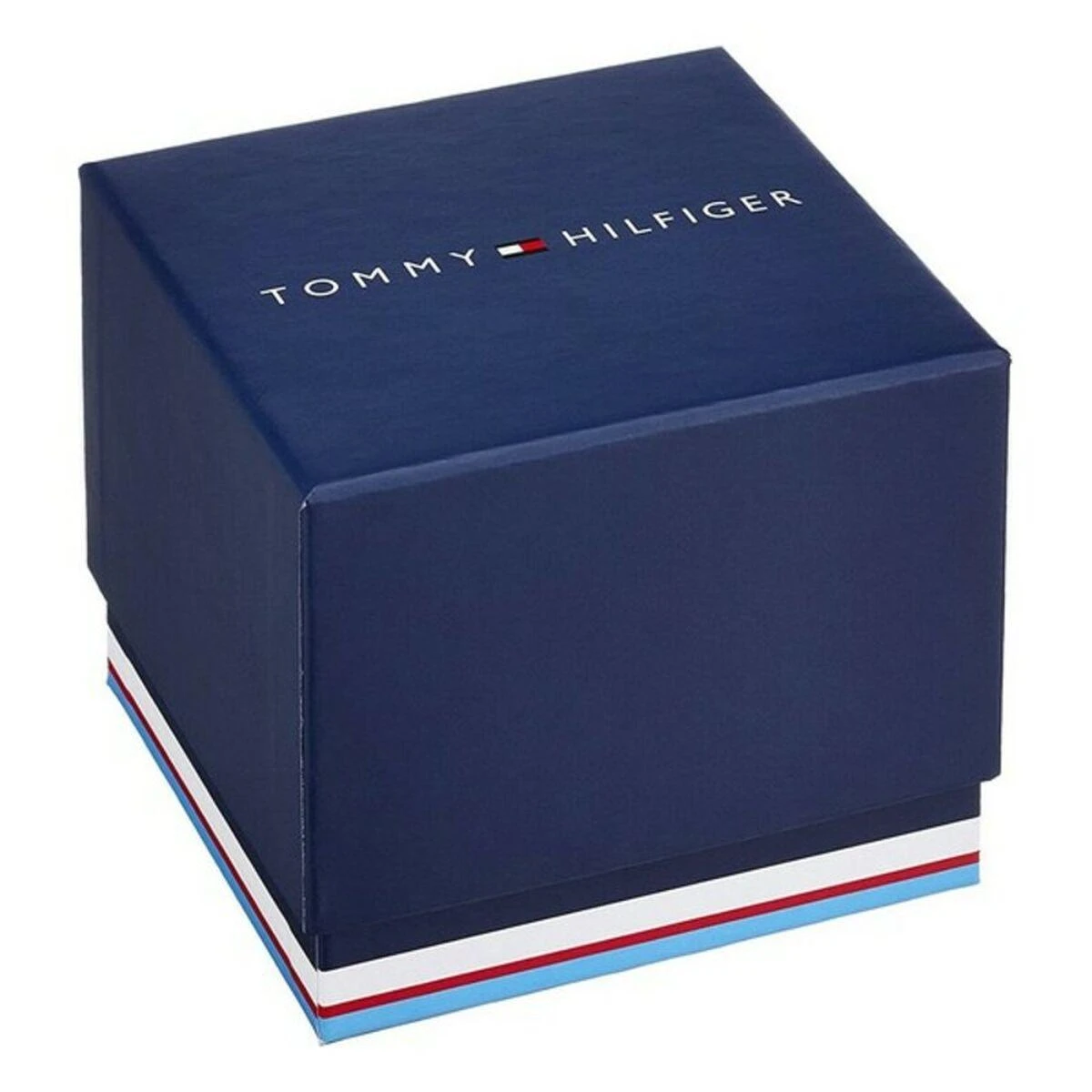 Moteriškas laikrodis TOMMY HILFIGER 1781904 BLAKE (zf525c)