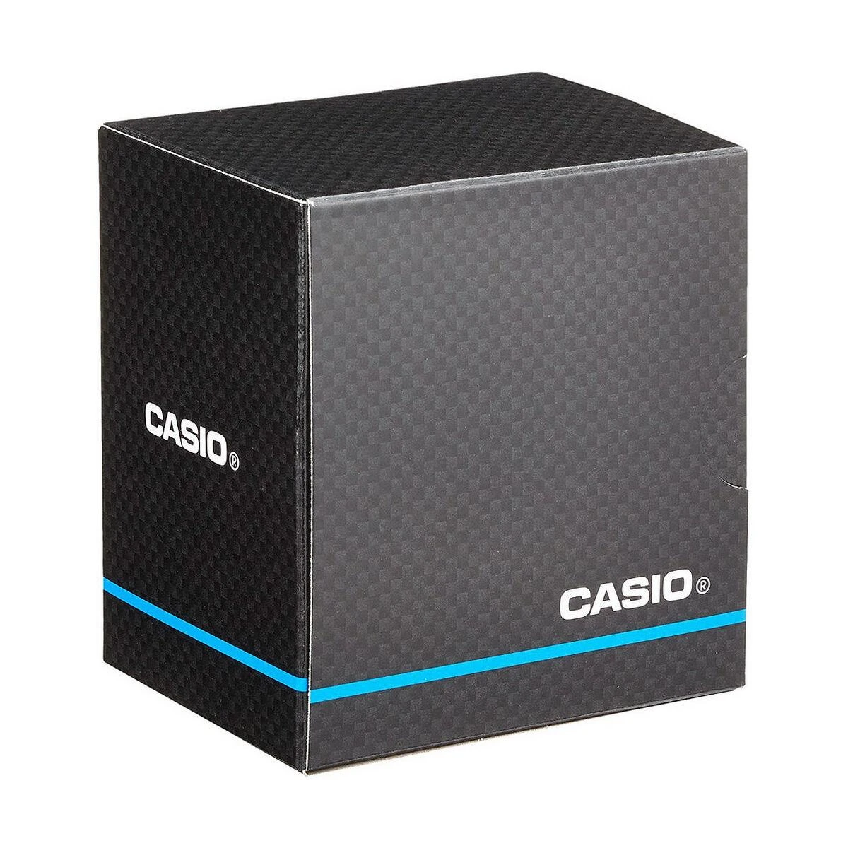 Laikrodis Casio LWA-300H-2EVEF