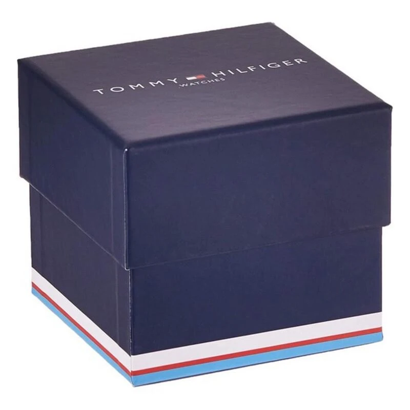 LAIKRODIS VYRAMS TOMMY HILFIGER DECKER (zf001c)