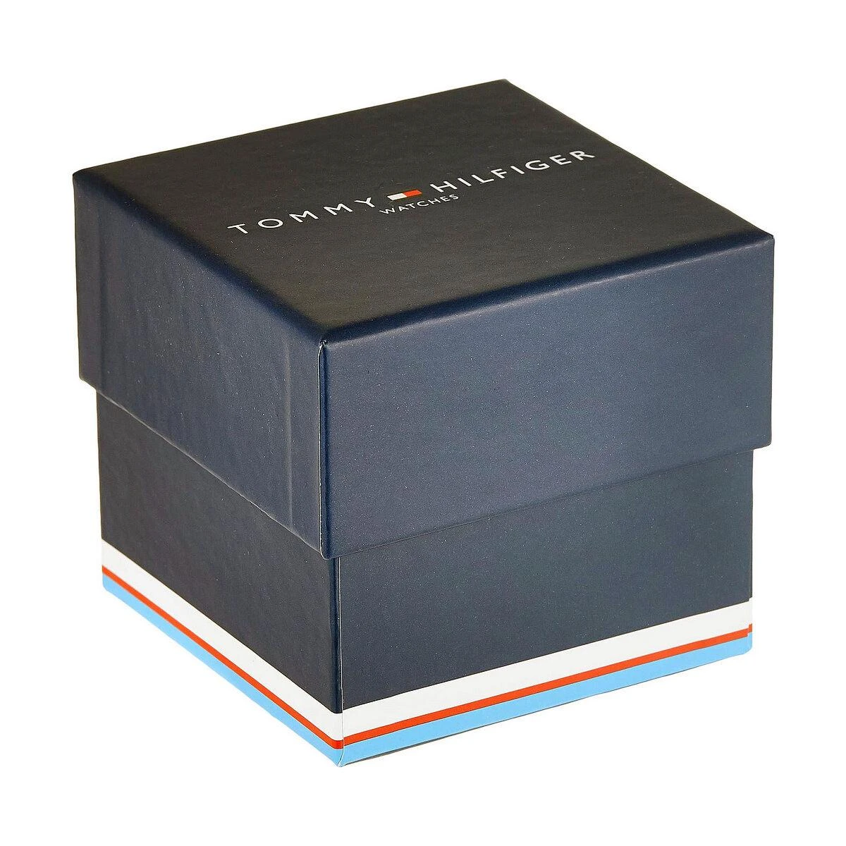 Vyriškas laikrodis TOMMY HILFIGER 1791423 (zf063a)