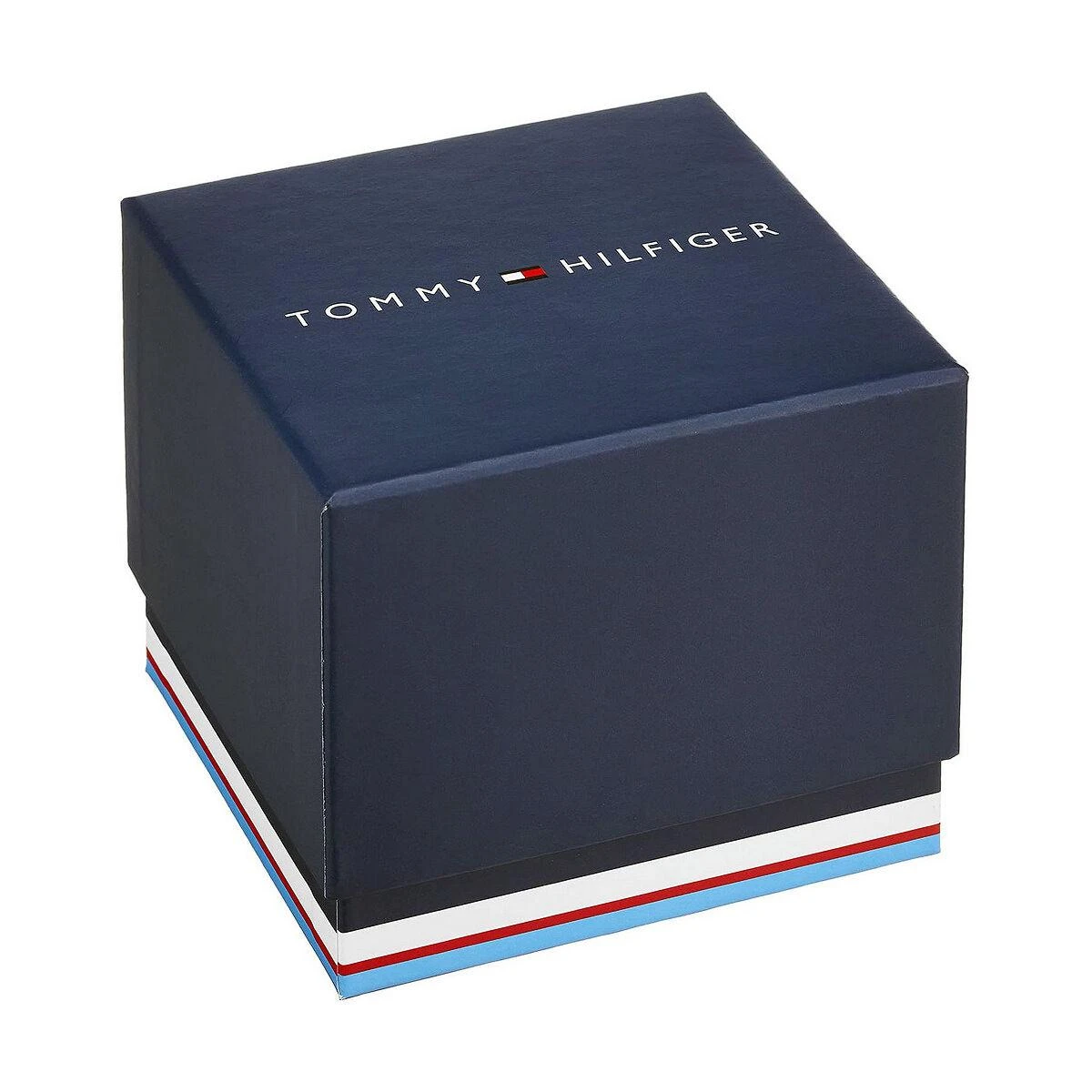 Vyriškas laikrodis TOMMY HILFIGER 1791117 LUKE (zf055a)