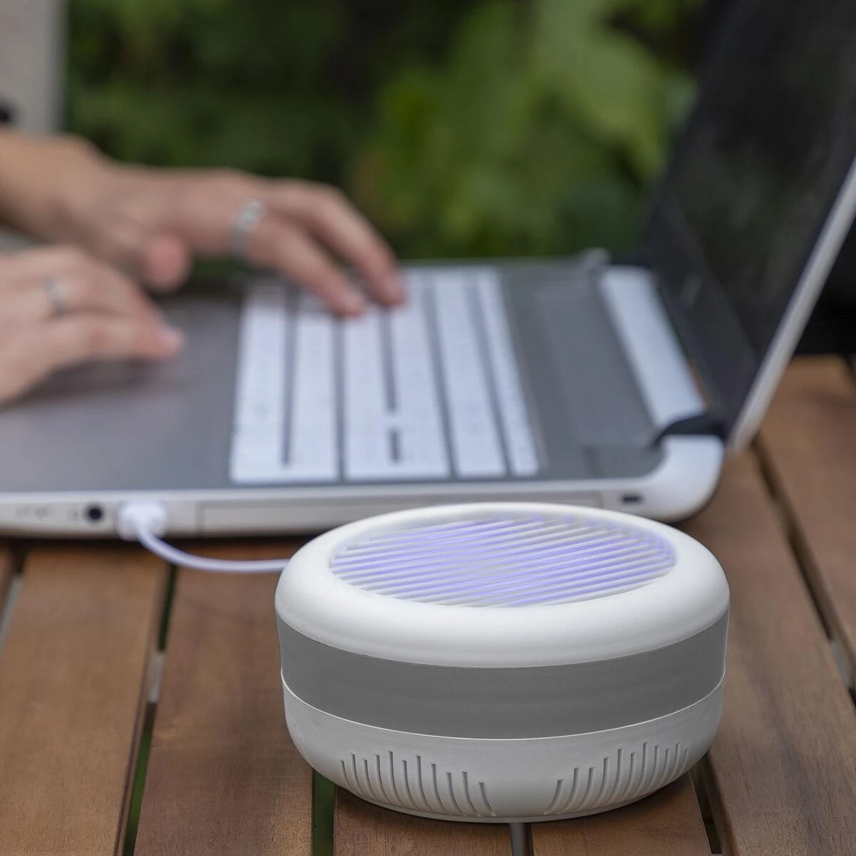 Lempa nuo uodų KL lite InnovaGoods