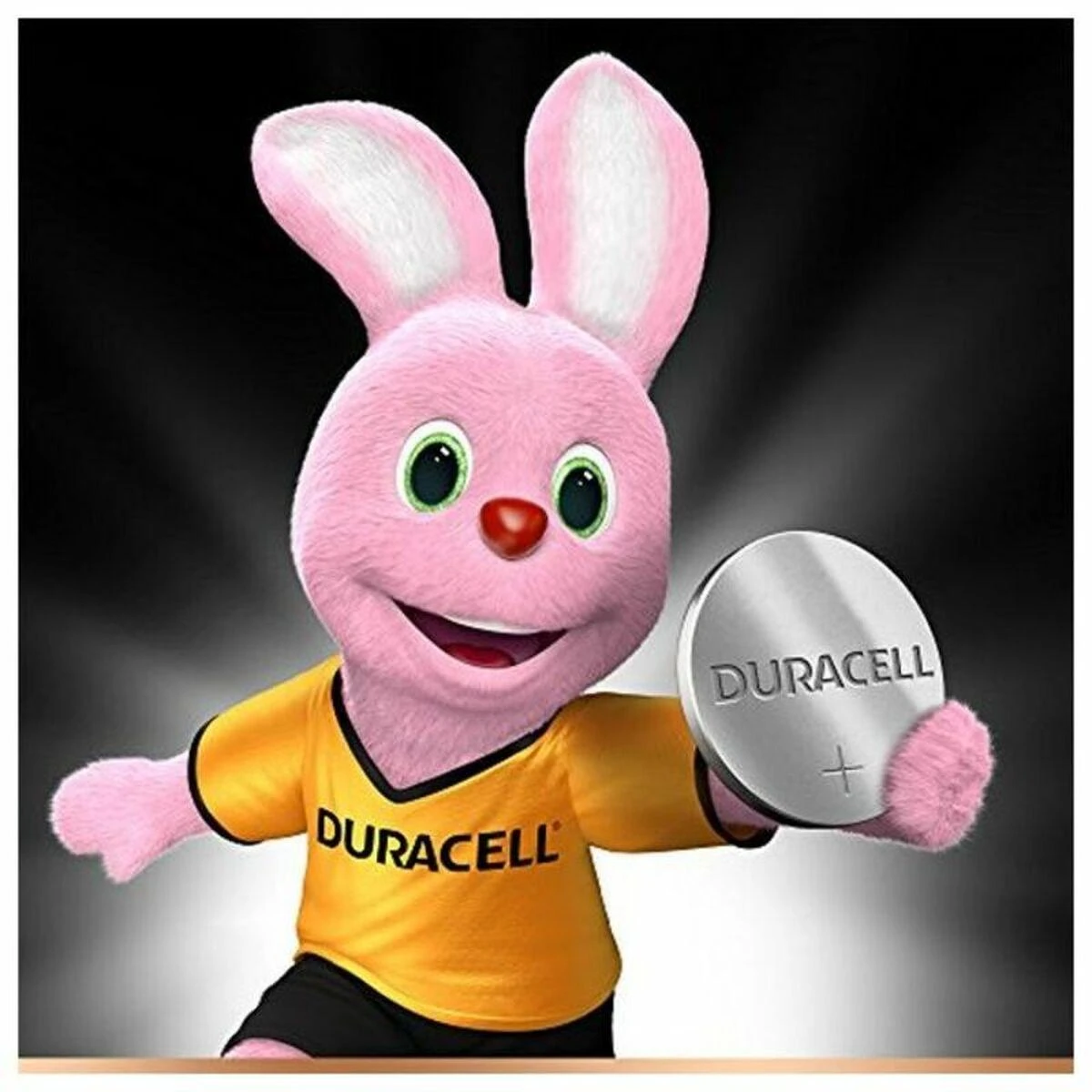Duracell DL2430 Vienkartinė baterija Litis