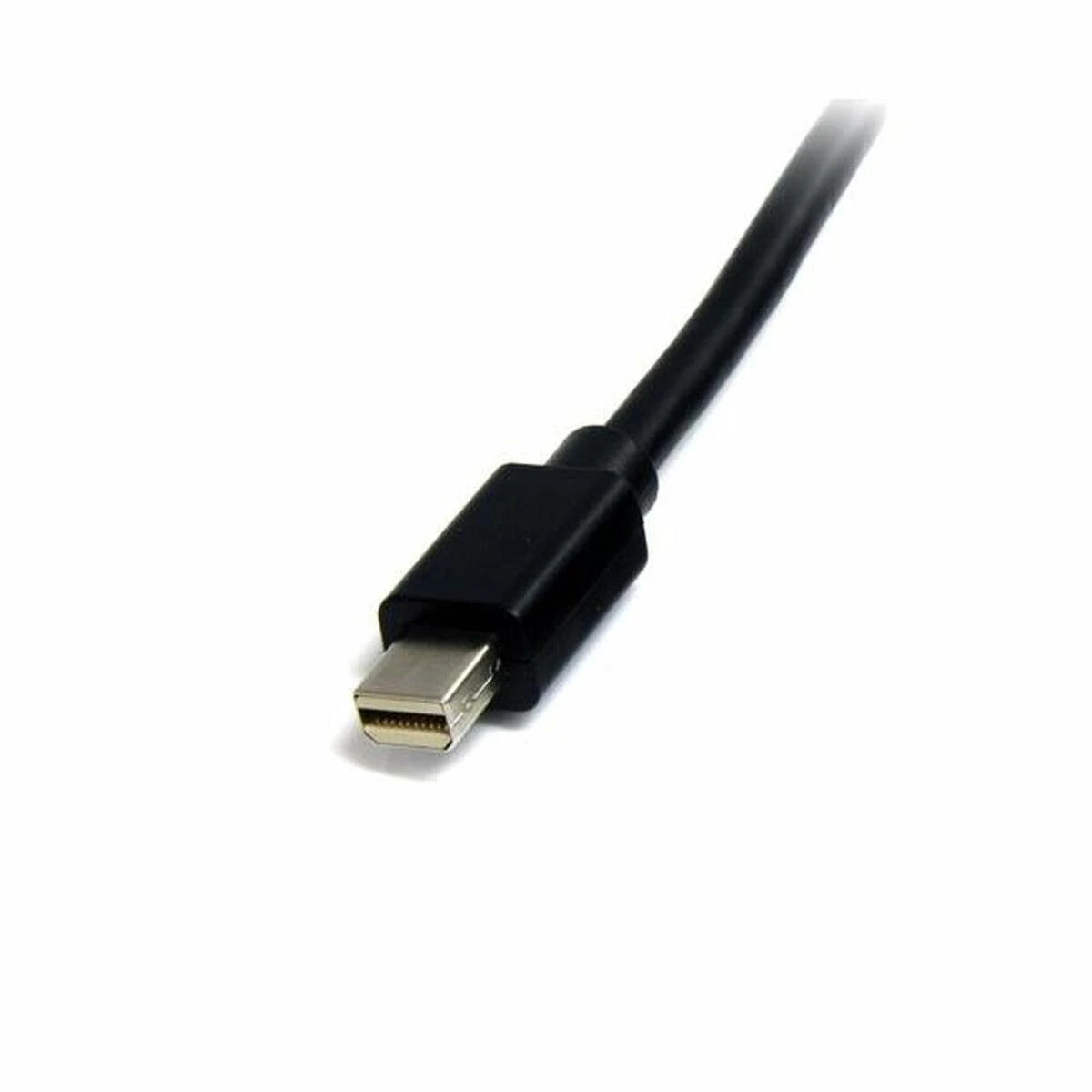 Kabelis StarTech Rodyti Port Mini - DisplayPort Mini 2m Juodas (MDISP2M)