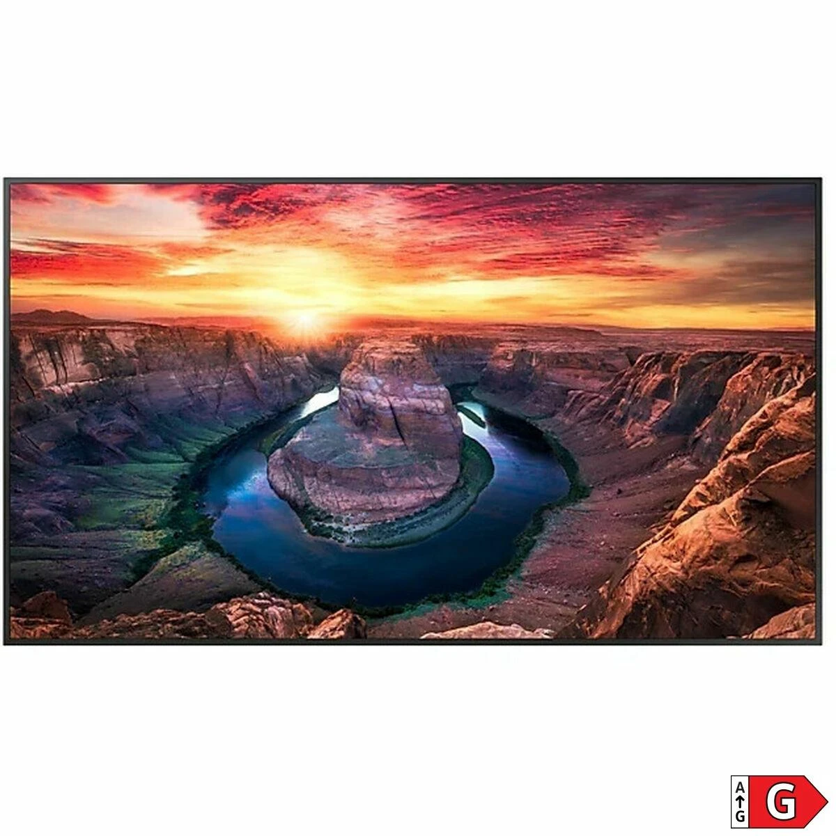 Monitorius Samsung QM43B-T, 43"