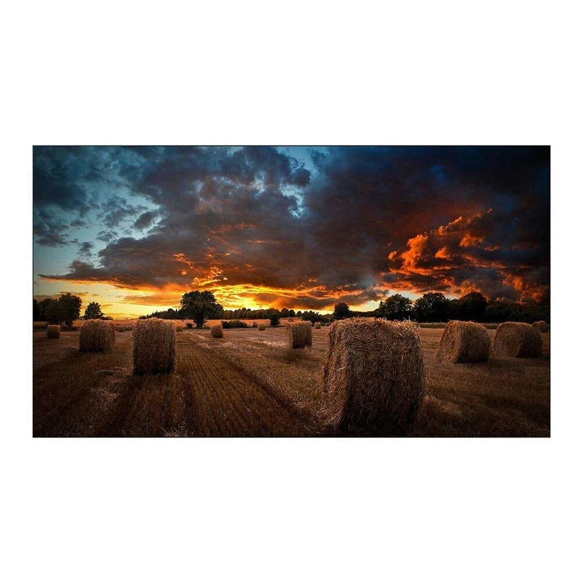 Monitorius SAMSUNG 55" VM55B-U FHD 500NITS 24/7 VIDEOWALL ULTRA NARROW BEZEL