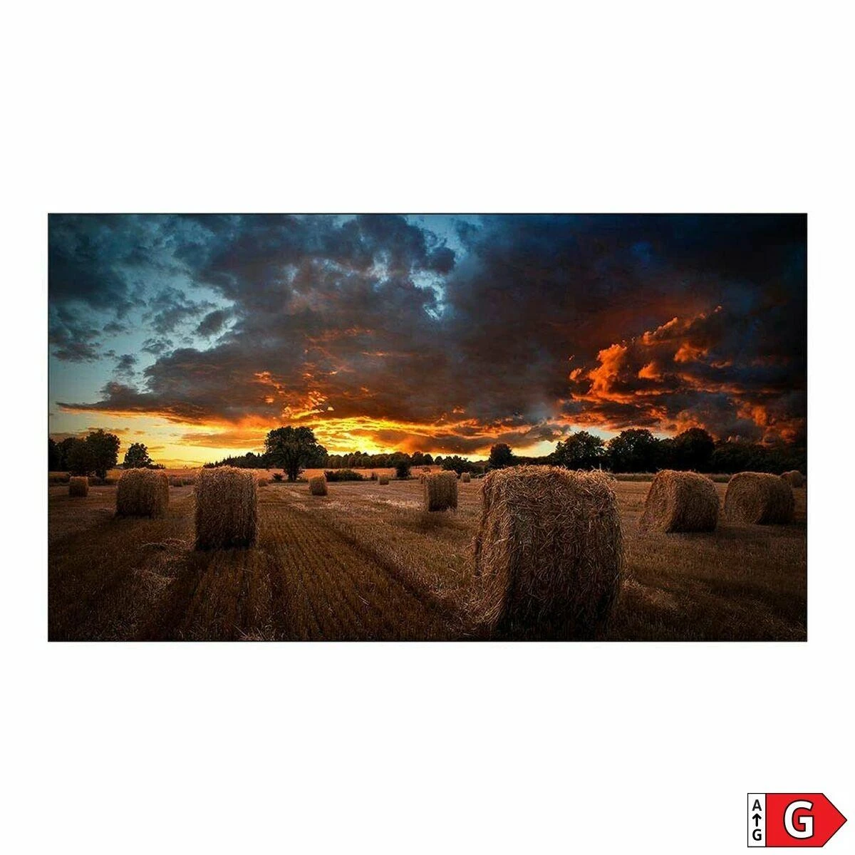 Monitorius SAMSUNG 55" VM55B-U FHD 500NITS 24/7 VIDEOWALL ULTRA NARROW BEZEL