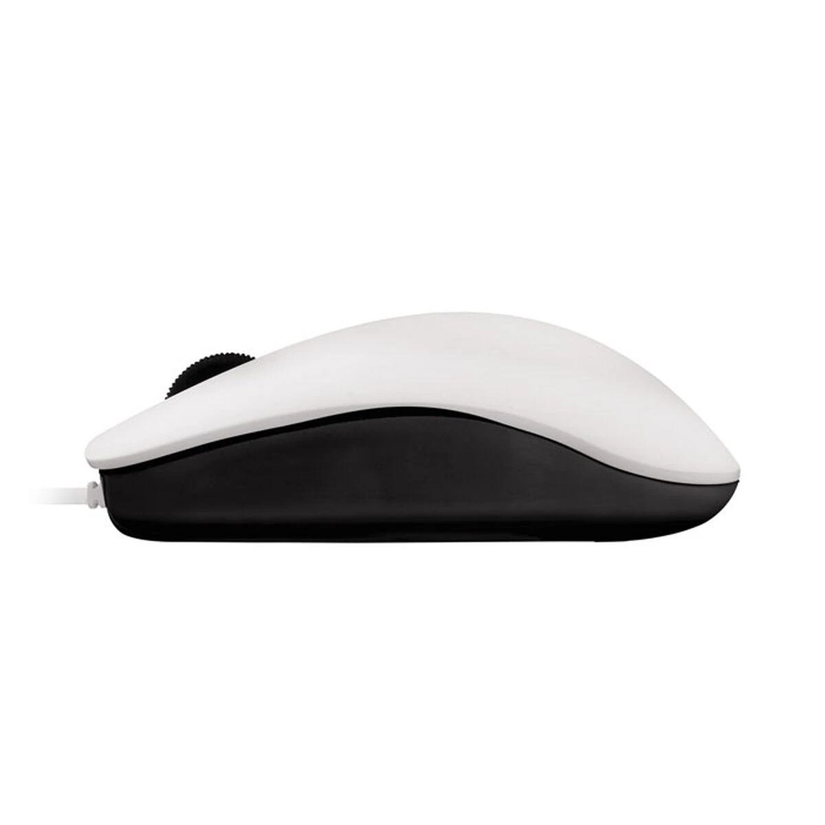 CHERRY MC 1000 kompiuterinė pelė USB A tipo Optinis 1200 DPI Abiems rankoms