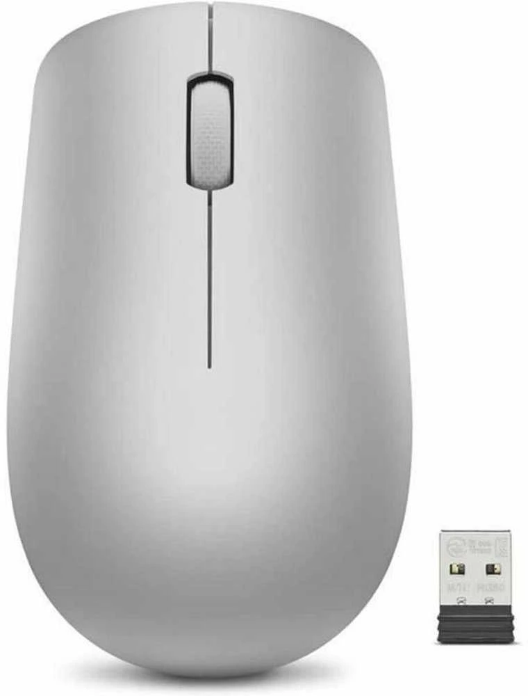 Lenovo | Belaidė pelė | 530 | Optinė pelė | 2.4 GHz Wireless via Nano USB | Platinos pilkas | 1 year(s)