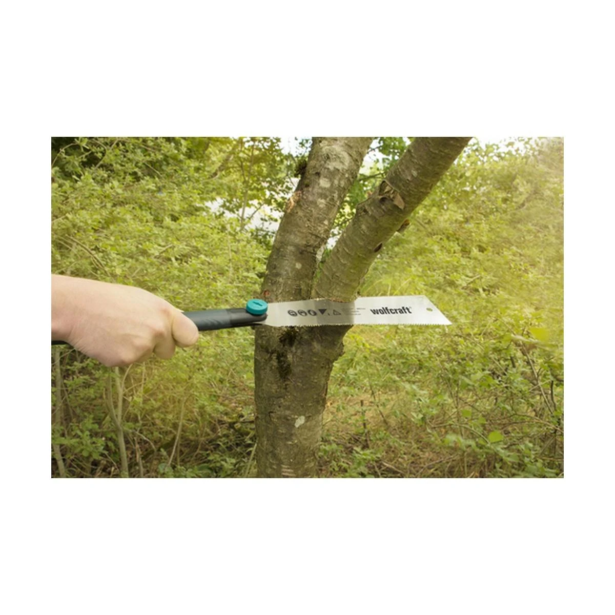 Pjūklas Wolfcraft 6951000