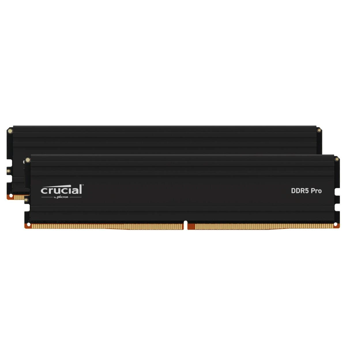 RAM „Crucial Pro“ 32 GB rinkinys (2x16 GB) DDR5-5600 UDIMM CL46 (16 Gbit), EAN: 649528937803