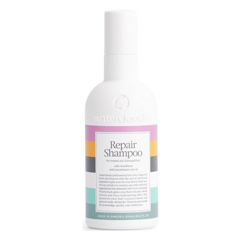 „Waterclouds“ atkuriamoji priemonė, 250 ml