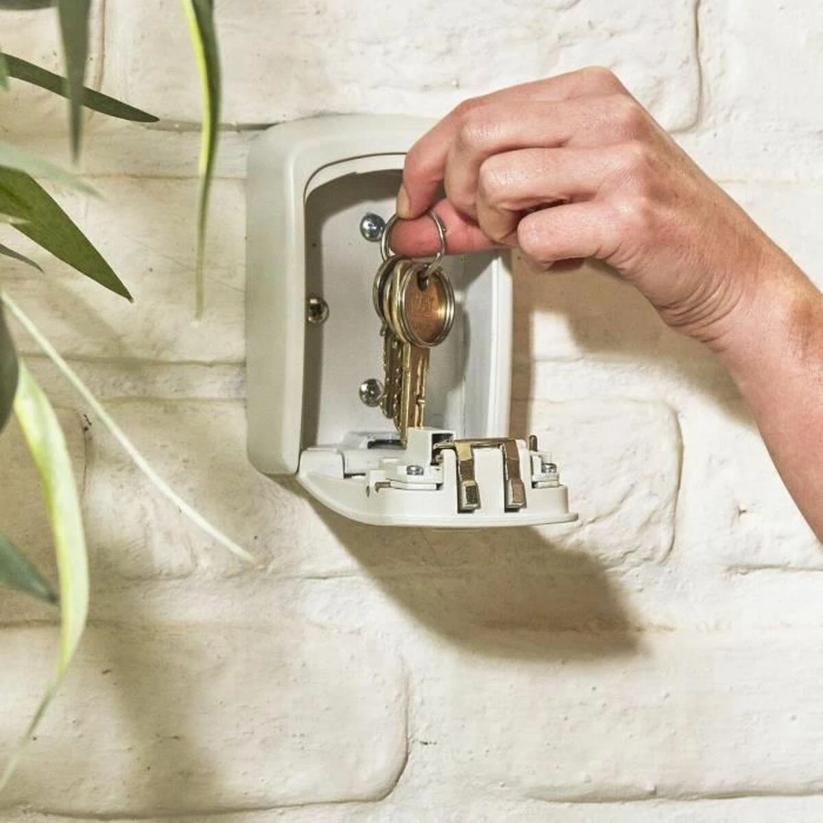 Master Lock MasterLock raktų dėžutė su kodine spyna (5401EURD)