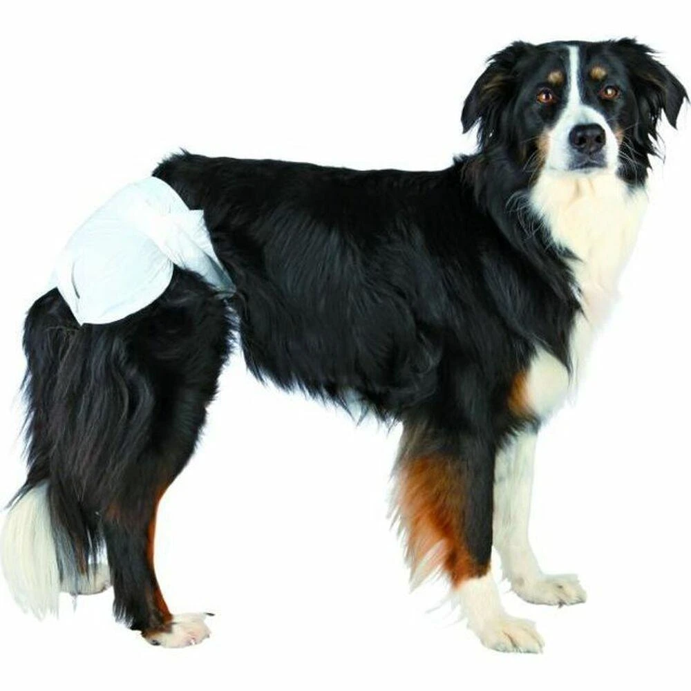 Trixie Sauskelnės, vienkartinės, kalėms,M ,32-48cm, 12vnt.