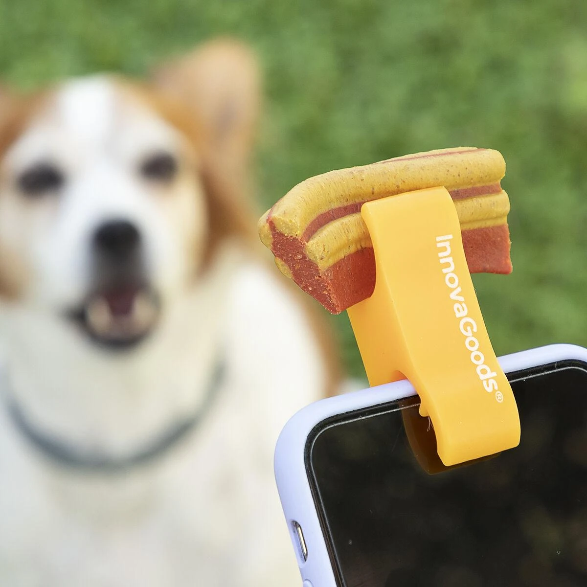 Selfie spaustukas naminiams gyvūnėliams Pefie InnovaGoods