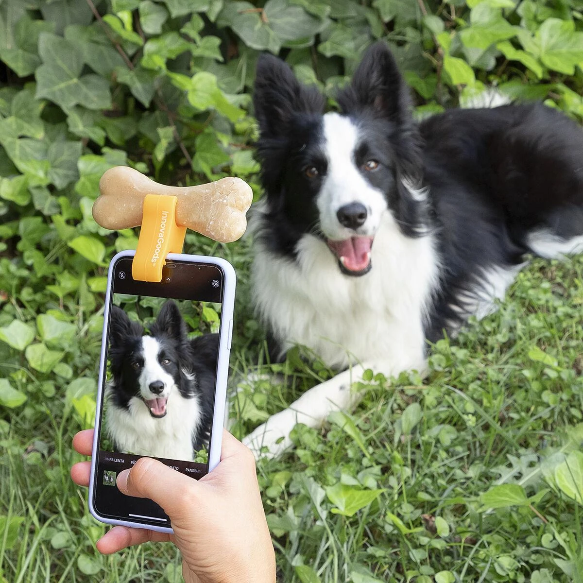 Selfie spaustukas naminiams gyvūnėliams Pefie InnovaGoods