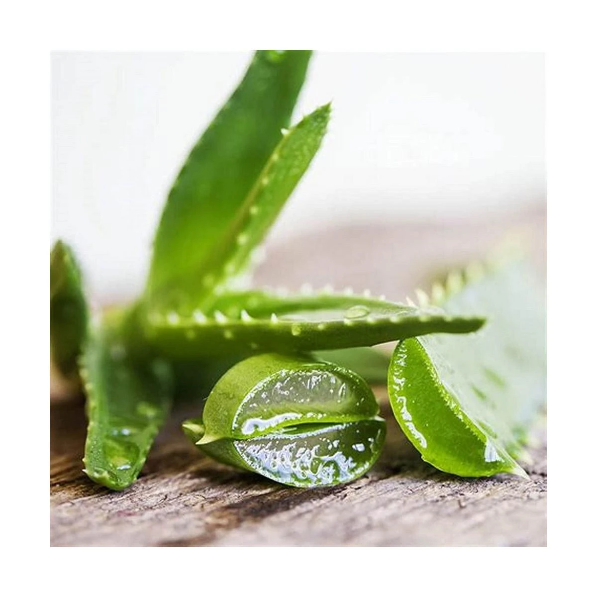 GILL'S servetėlės augintiniams su chlorheksidinu ir aloe vera, 40vnt