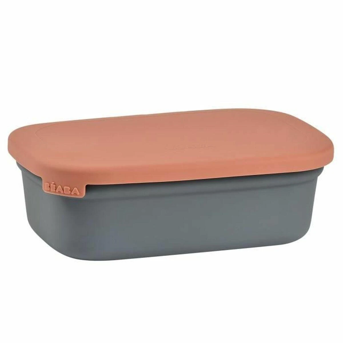 BEABA KERAMIKINĖ REGULIUOJAMŲ SKYRIŲ PIETŲ DĖŽUTĖ, MINERAL/TERRACOTTA