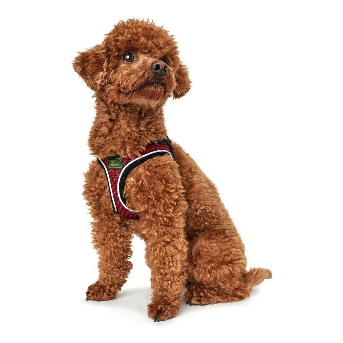 Hunter Hilo Comfort S - dog harness, red