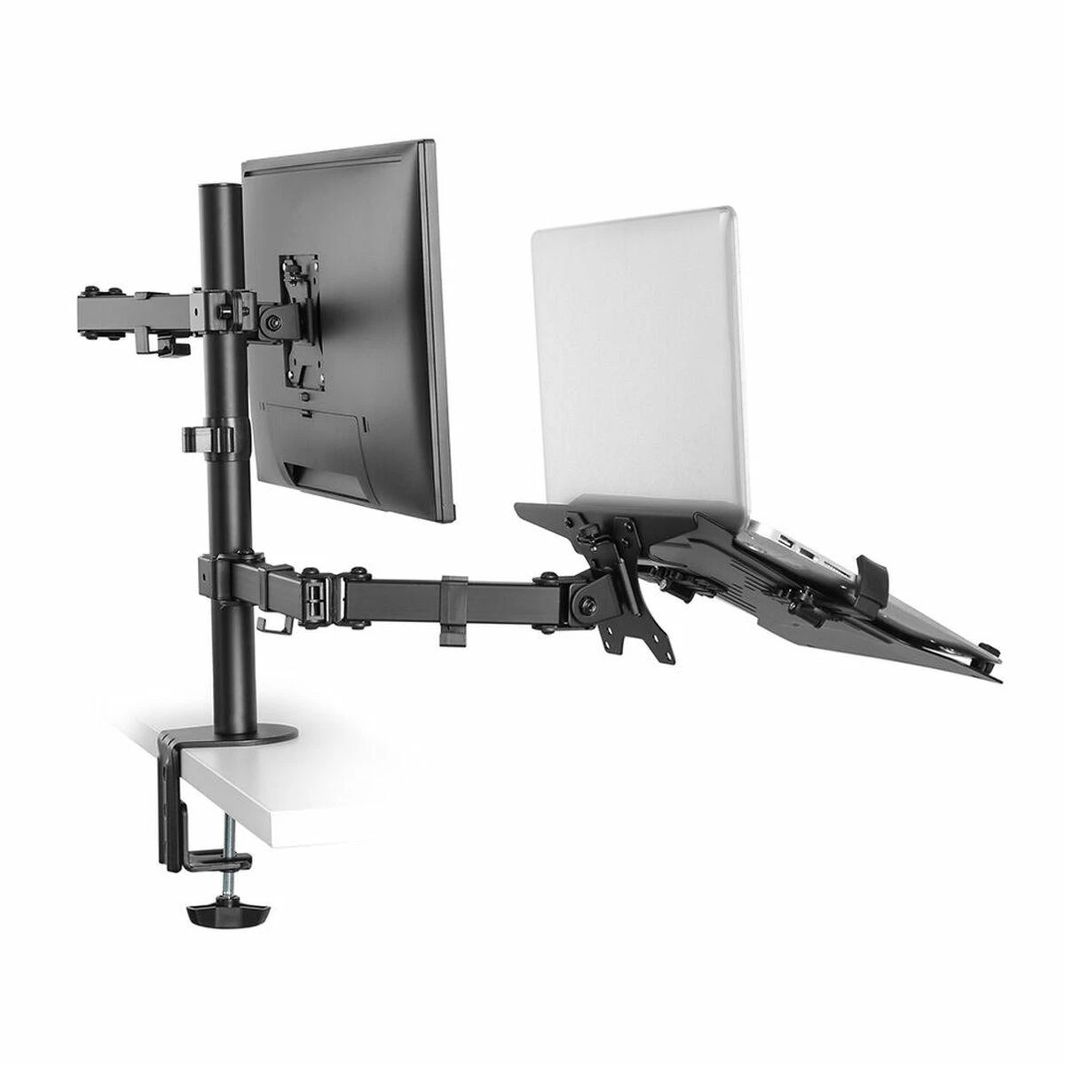Laikiklis Newstar FPMA-D550NOTEBOOK monitoriams ir nešiojamiems kompiuteriams