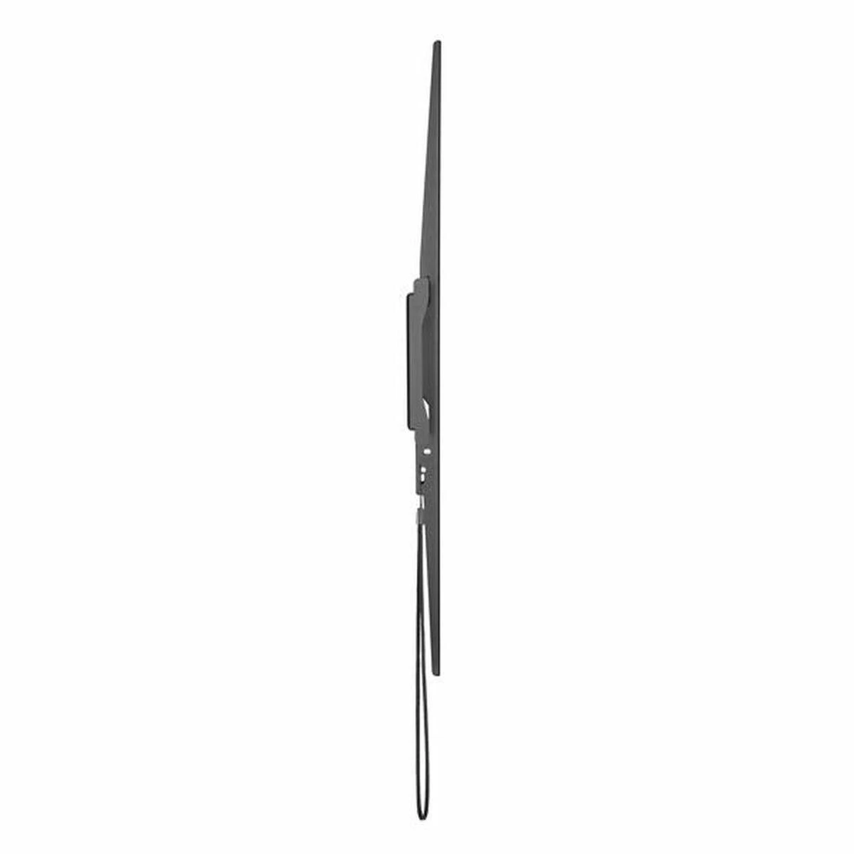 StarTech Laikiklis siena FPWFXB1 60'' - 100''