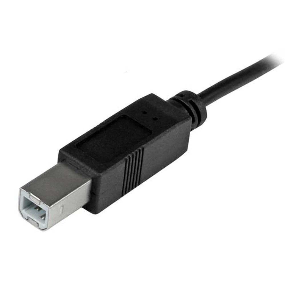 StarTech 2M 6FT USB 2.0 C TO B CABLE / CABLE - USB 2.0 - 6FT