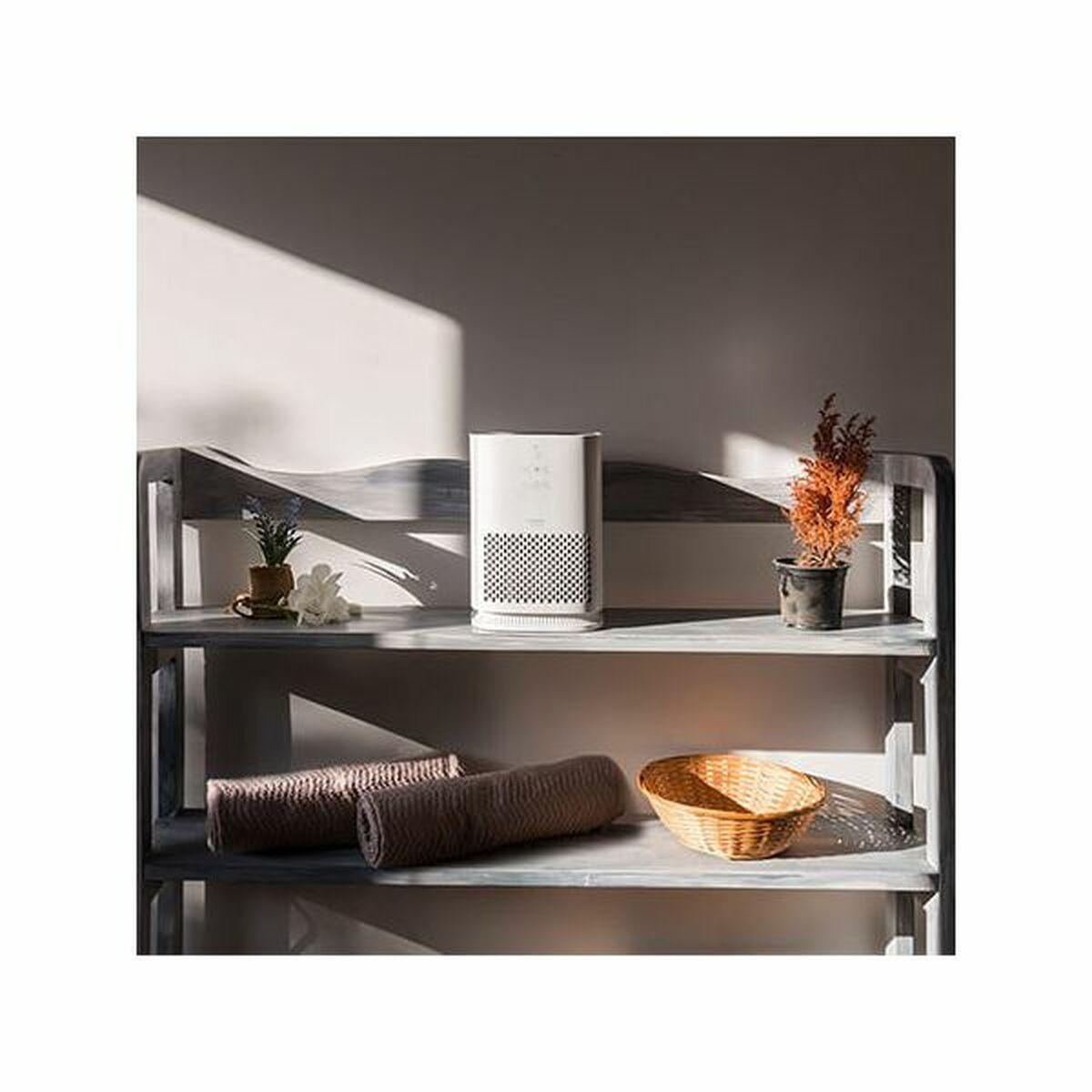 Oro valytuvas Cecotec TotalPure 1000 Handy