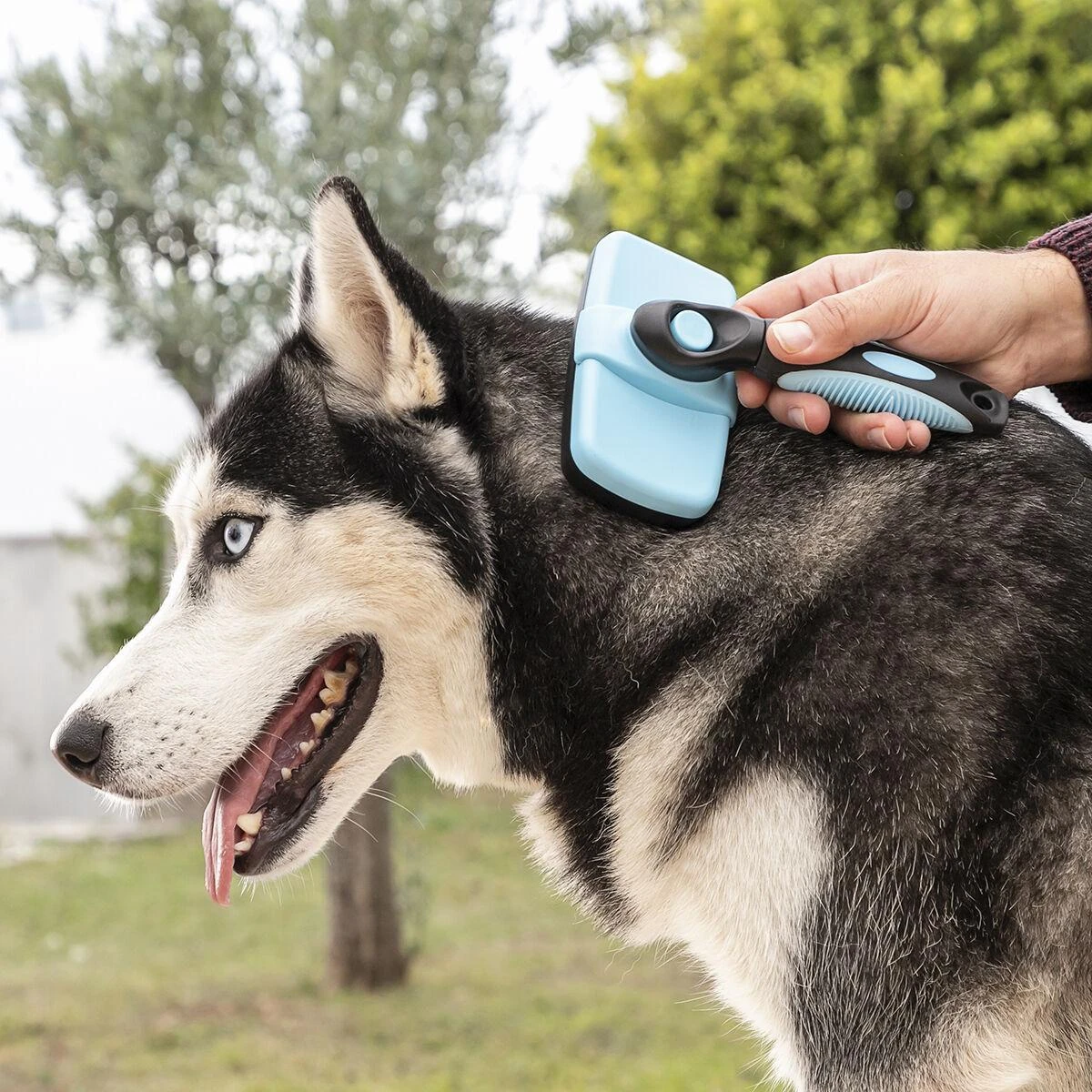InnovaGoods vielinis naminių gyvūnėlių šepetys su ištraukiamais šereliais Groombot InnovaGoods