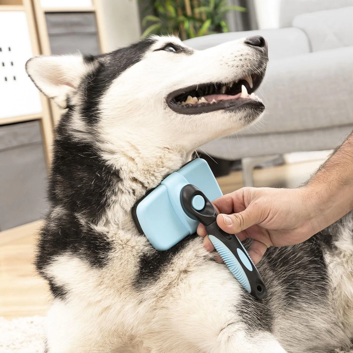 InnovaGoods vielinis naminių gyvūnėlių šepetys su ištraukiamais šereliais Groombot InnovaGoods