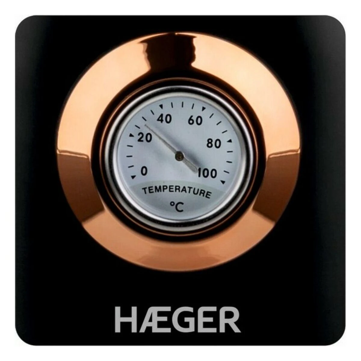 Elektrinis virdulys Haeger 1,7l su termometru 2200W