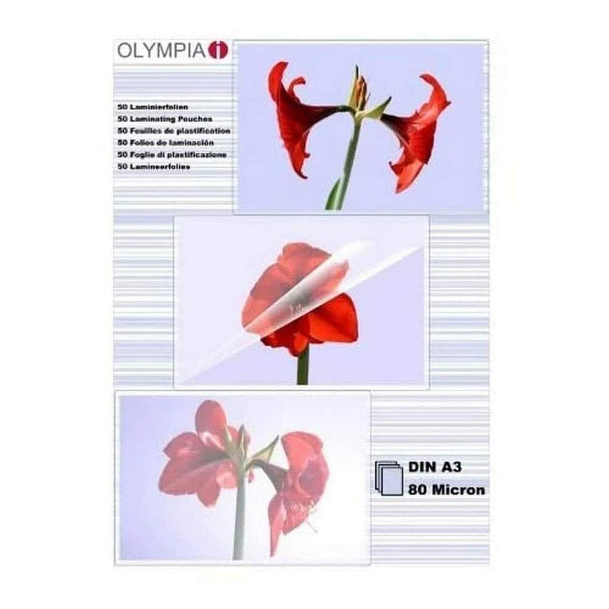 Olympia laminavimo folijos DIN A3 50 vnt 80 mic
