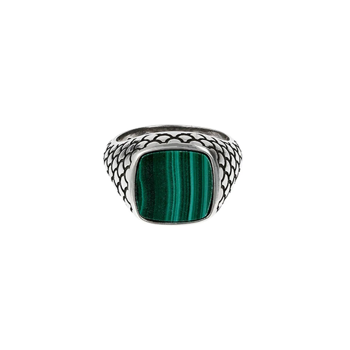 Papuošalas ALBERT M. JEWELS WSOX00075-MLC-22