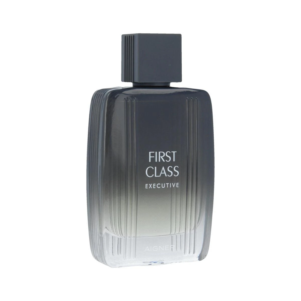 Etienne Aigner Aigner First Class Executive EDT tualetinis vanduo vyrams, 100 ml