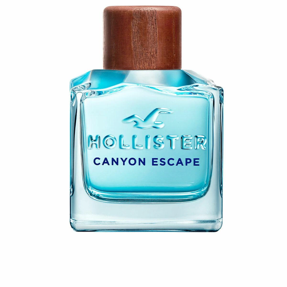 Hollister Canyon Escape For Him tualetinis vanduo su purškikliu 100ml
