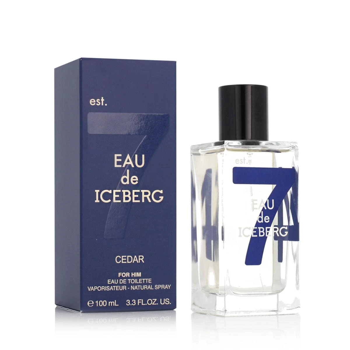 Kvepalai vyrams Iceberg Eau de Iceberg Cedar EDT, 100 ml