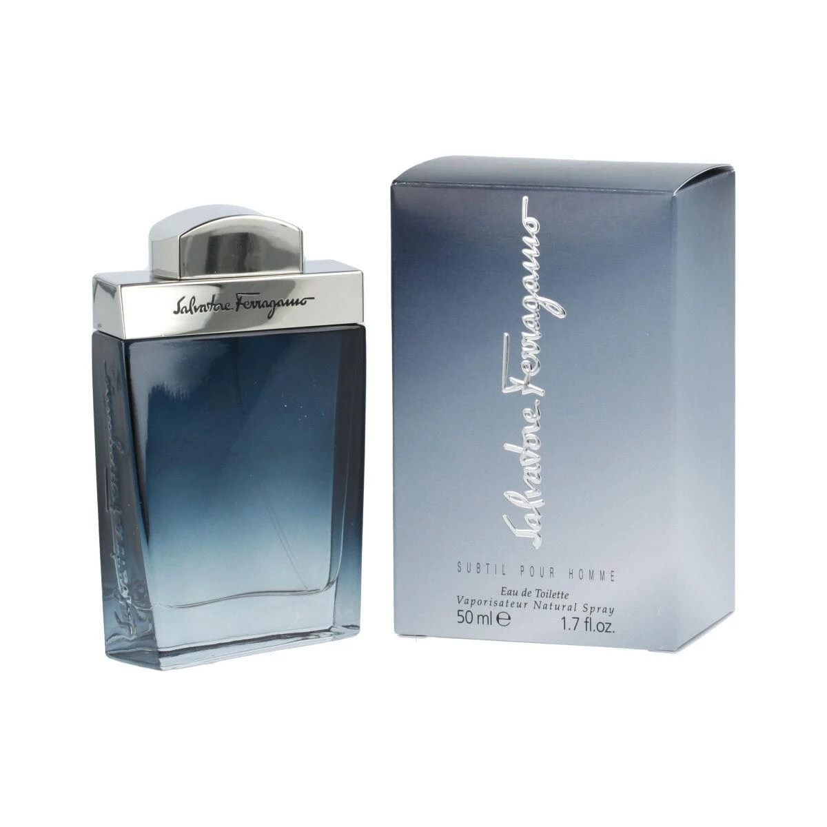Salvatore Ferragamo Subtil Pour Homme EDT tualetinis vanduo vyrams, 50 ml