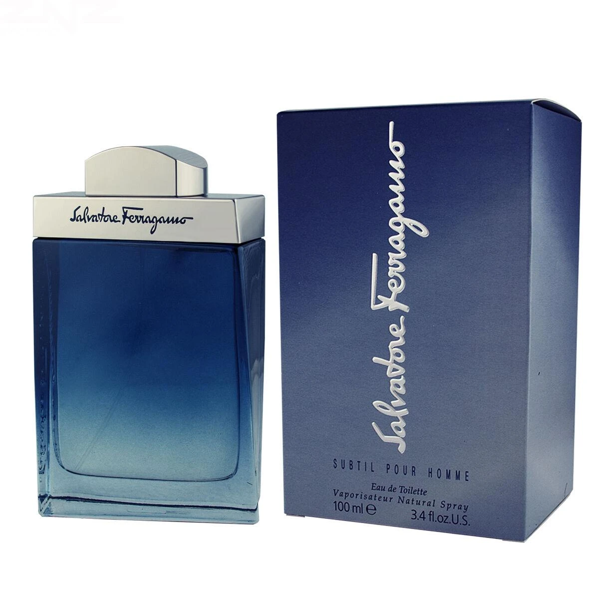 Salvatore Ferragamo Subtil Pour Homme EDT tualetinis vanduo vyrams, 100 ml